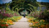Beautiful Giverny