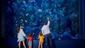 An excellent Night at the Aquarium