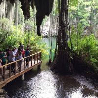 Bus & Minivan Tours