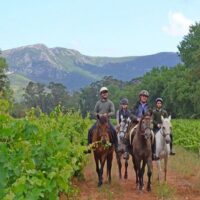 Horseback Riding