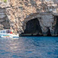 Day Cruises