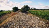 Don’t waste your time on looking for a better guide in Tokaj, you won’t find any better