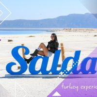 Private & Custom Tours