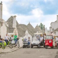 Tours & Sightseeing