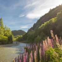Day Trips & Excursions