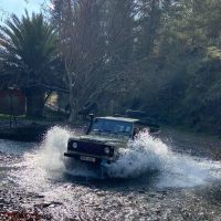 Shore Excursions