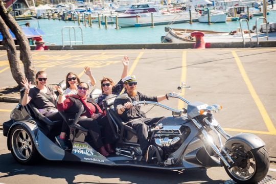 Valentine's Day in Napier