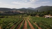 Excellent Wines and Wonderful Hospitality