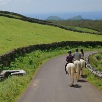 Horseback Riding
