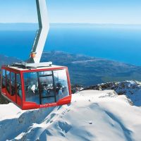 Eco Tours