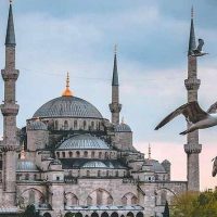Private & Custom Tours