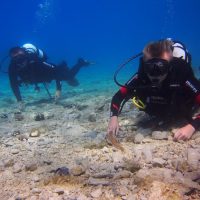 Scuba Diving