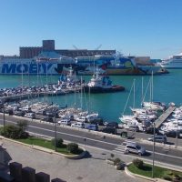 Shore Excursions