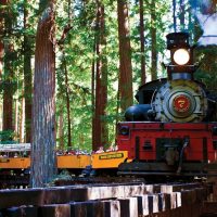 Multi-day & Extended Tours