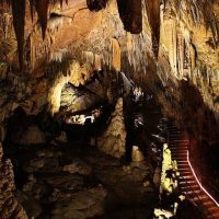 Half-day Tours