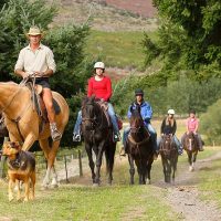 Horseback Riding