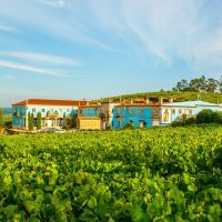 Multi-day Tours
