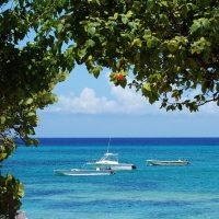 Luxury Tours