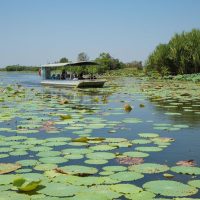 Day Trips & Excursions