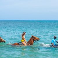 Horseback Riding