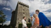 Cork experience 