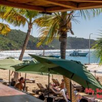 Full-day Tours
