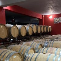 Food, Wine & Nightlife