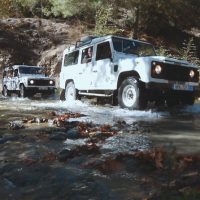 Safaris
