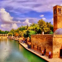Archaeology Tours
