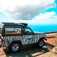 Shore Excursions