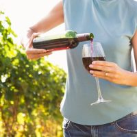 Wine Tasting & Winery Tours