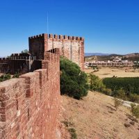 Wine Tasting & Winery Tours