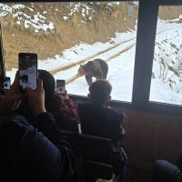 Audio Guided Tours