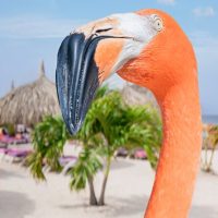 Kid Friendly Tours & Activities