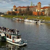 Boat Tours