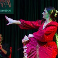 Theater, Shows & Musicals