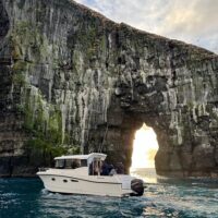 Boat Tours