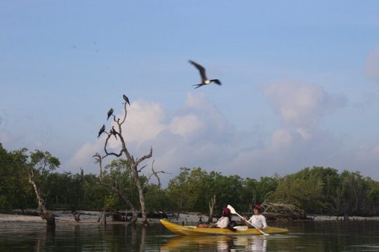New Year’s Day long weekend in Isla Holbox