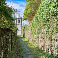Private & Custom Tours