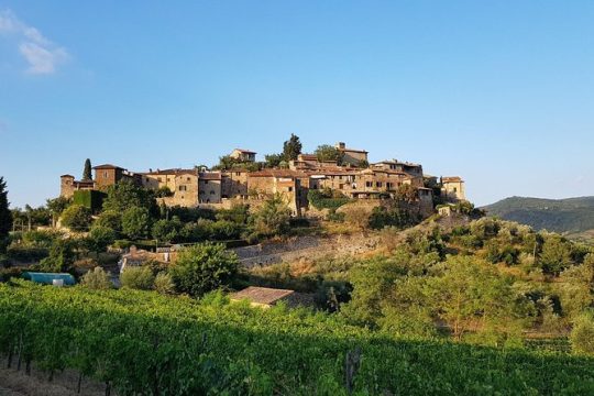 New Year’s Day long weekend in Chianti