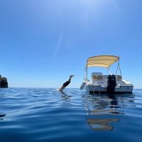 Self-guided Tours & Rentals