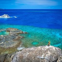 Catamaran Cruises