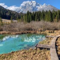 Private Sightseeing Tours