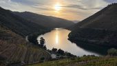 Perfect day in Douro