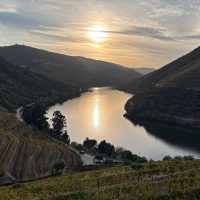 Wine Tasting & Winery Tours