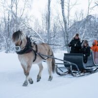 Horseback Riding