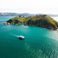 Catamaran Cruises