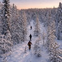 Ski & Snow