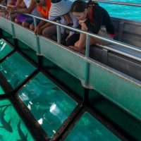Cruises, Sailing & Water Tours