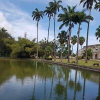 Tours & Sightseeing